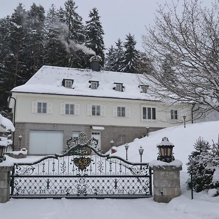 Schwarwald Apartment Schluchsee Bagian luar foto